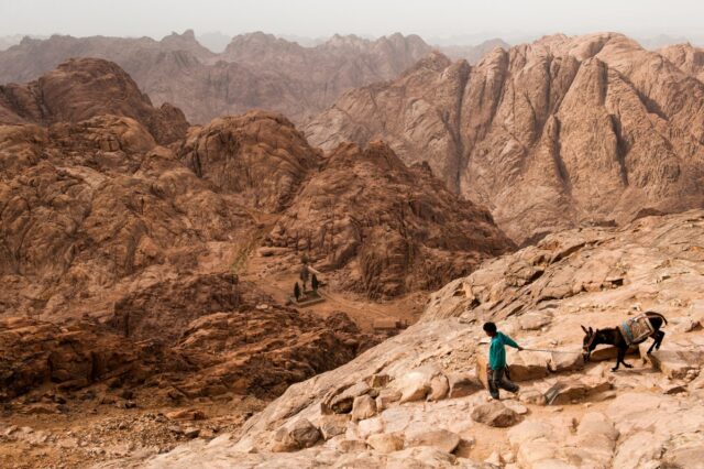 Mount Sinai