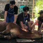 Umat ​​​​muçulmano Wajib Tahu, Ini Kriteria Hewan Kurban yang Dianjurkan Islam