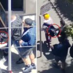 Veja a polícia de São Francisco derrubar uma rede de batedores de carteira em uma apreensão dramática