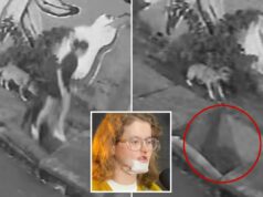 Vídeo chocante mostra mulher mergulhando quando a calçada se abre repentinamente para passear com o cachorro Vídeo chocante mostra mulher mergulhando quando a calçada se abre repentinamente para passear com o cachorro