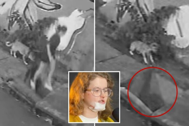 Vídeo chocante mostra mulher mergulhando quando a calçada se abre Vídeo chocante mostra mulher mergulhando quando a calçada se abre repentinamente para passear com o cachorro