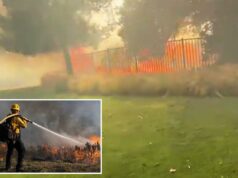 Vídeo dramático mostra a velocidade devastadora do incêndio florestal em SoCal – e a resposta rápida dos bombeiros Vídeo dramático mostra a velocidade devastadora do incêndio florestal em SoCal – e a resposta rápida dos bombeiros