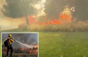 Vídeo dramático mostra a velocidade devastadora do incêndio florestal em SoCal – e a resposta rápida dos bombeiros Vídeo dramático mostra a velocidade devastadora do incêndio florestal em SoCal – e a resposta rápida dos bombeiros