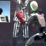 Vídeo viral maluco de robôs lutando antes de uma partida na Bay Area