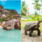 Visitando Seicheles? Confira 5 experiências menos conhecidas que mostram um lado diferente
