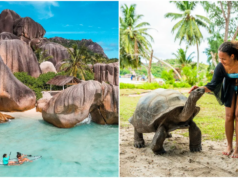 Visitando Seicheles? Confira 5 experiências menos conhecidas que mostram um lado diferente Visitando Seicheles? Confira 5 experiências menos conhecidas que mostram um lado diferente