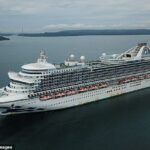Na foto acima está o navio Caribbean Princess da Princess Cruises chegando ao Panamá em 2020. Mais de 100 pessoas a bordo do navio esta semana contraíram norovírus
