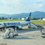 O voo da Ryanair, de Berlim para a cidade espanhola, teve de fazer uma aterragem de emergência no aeroporto de Karlsruhe/Baden-Baden, na Alemanha, depois de o homem de 43 anos ter começado a causar estragos (stock)
