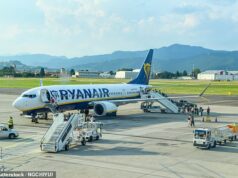Voo da Ryanair para Alicante é forçado a desviar depois de ‘homem agressivo assediar passageiros e vomitar’ O voo da Ryanair, de Berlim para a cidade espanhola, teve de fazer uma aterragem de emergência no aeroporto de Karlsruhe/Baden-Baden, na Alemanha, depois de o homem de 43 anos ter começado a causar estragos (stock)