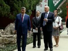 Xi mostra jardins imperiais históricos a Trump Xi mostra jardins imperiais históricos a Trump