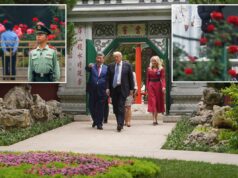 Xi promete enviar sementes depois que Trump admirar suas ‘rosas mais lindas’ Xi promete enviar sementes depois que Trump admirar suas 'rosas mais lindas'