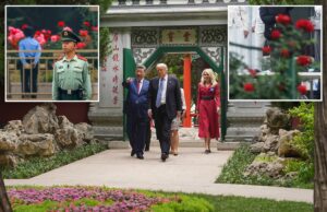 Xi promete enviar sementes depois que Trump admirar suas ‘rosas mais lindas’ Xi promete enviar sementes depois que Trump admirar suas 'rosas mais lindas'