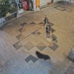 A caça ao urso continua enquanto cidade japonesa fecha escolas pelo segundo dia