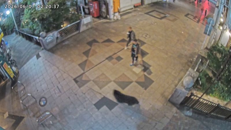 A caça ao urso continua enquanto cidade japonesa fecha escolas pelo segundo dia