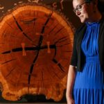 A guitarra de Woody Guthrie, uma foto de Gettysburg: 5 atrações imperdíveis na nova exposição America 250 de Huntington