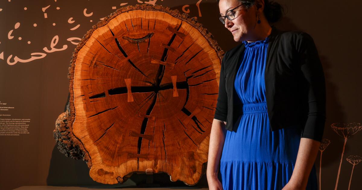 A guitarra de Woody Guthrie, uma foto de Gettysburg: 5 atrações imperdíveis na nova exposição America 250 de Huntington