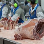 A oportunidade geracional de cordeiro em WA precisa de mais do que apenas bons preços