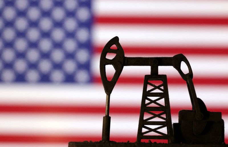 Administração Trump leiloará direitos de perfuração de petróleo no refúgio de vida selvagem do Alasca