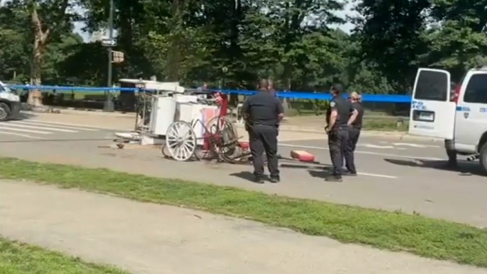 Adolescente morre após ser jogado de carruagem no Central Park de Nova York