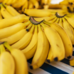 Agricultores do MP se alegram quando Burhanpur Banana recebe a prestigiosa GI Tag
