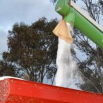 Apanhados no fogo cruzado: retalhistas e agricultores perdem devido aos preços “distorcidos” dos fertilizantes