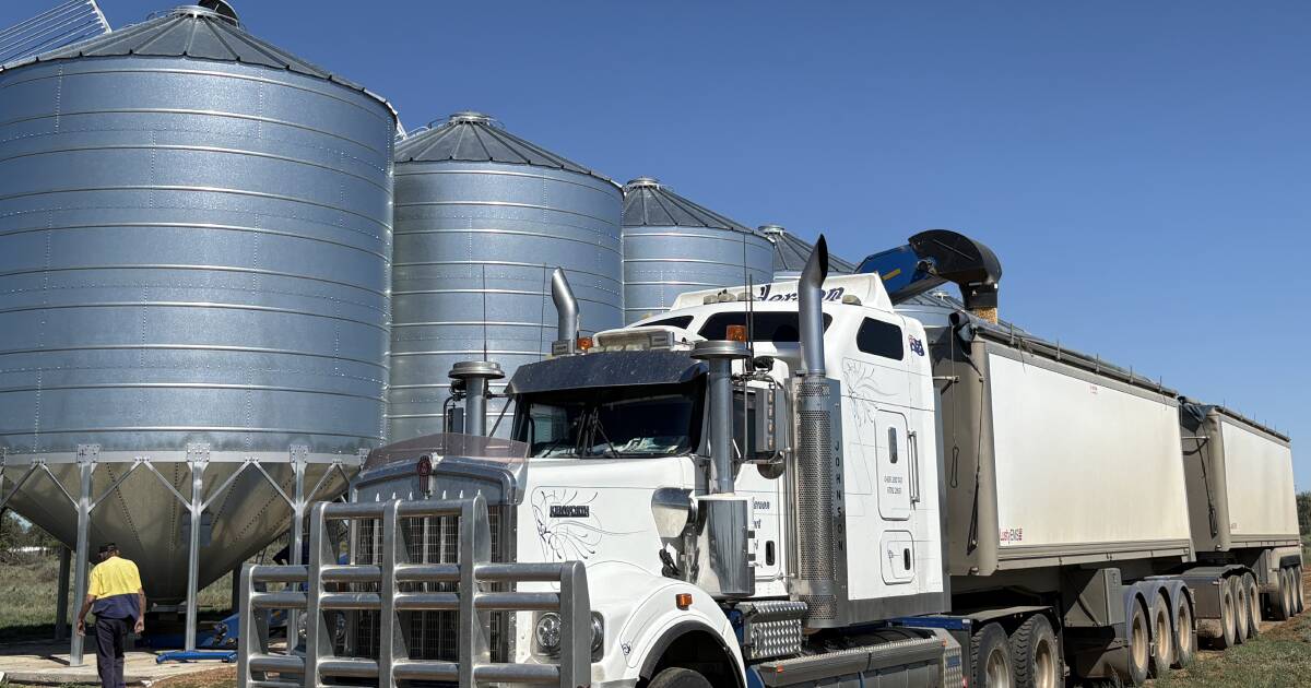 Apelo de produtividade dos caminhoneiros rurais; 'ajude-nos a economizar dinheiro em frete agrícola'