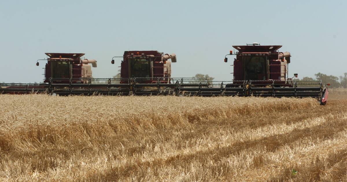 Após ano agrícola de US$ 100 bilhões, fazendas se preparam para queda média de lucro de 70%