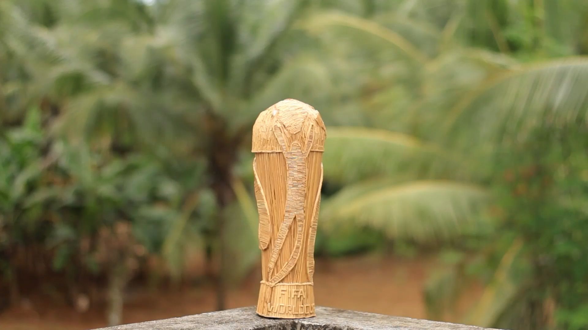 Artista cria troféu da Copa do Mundo de 'costela de coco' em Kerala