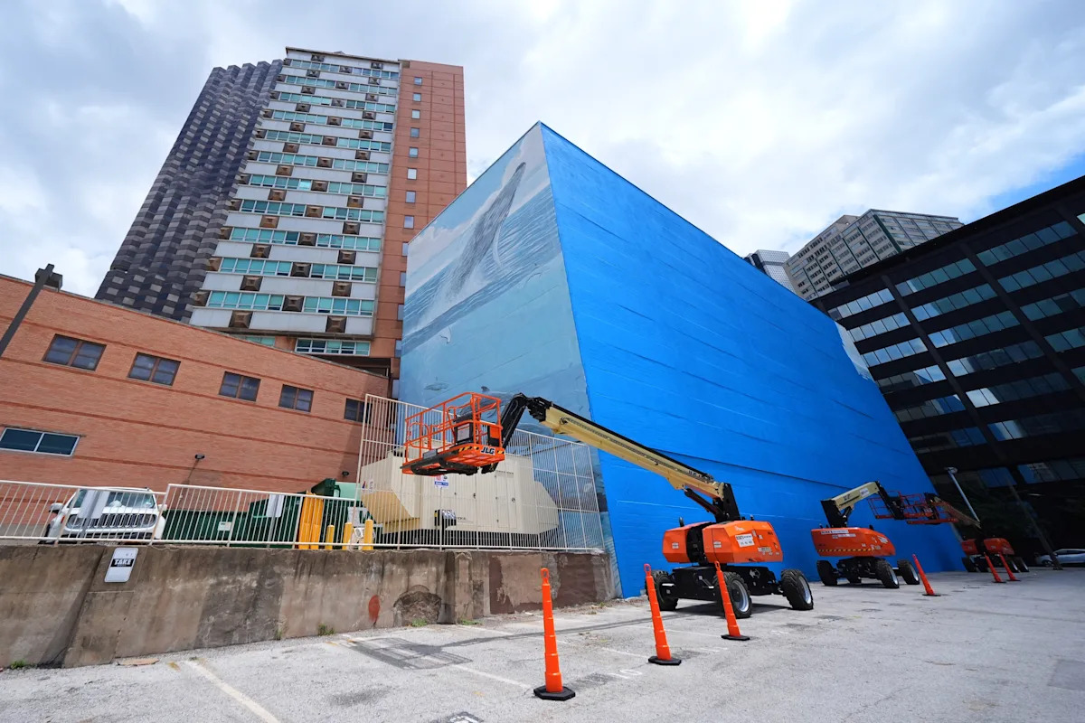 Artista processa FIFA pela destruição de mural de baleias em Dallas antes da Copa do Mundo