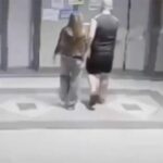 Australiano acusado de assassinato após corpo de menina tailandesa ser encontrado em mala
