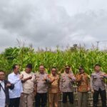 Cara Polres Karawang Jalankan Programa Estratégia Pemerintah Jaga Ketersediaan Pangan Nasional