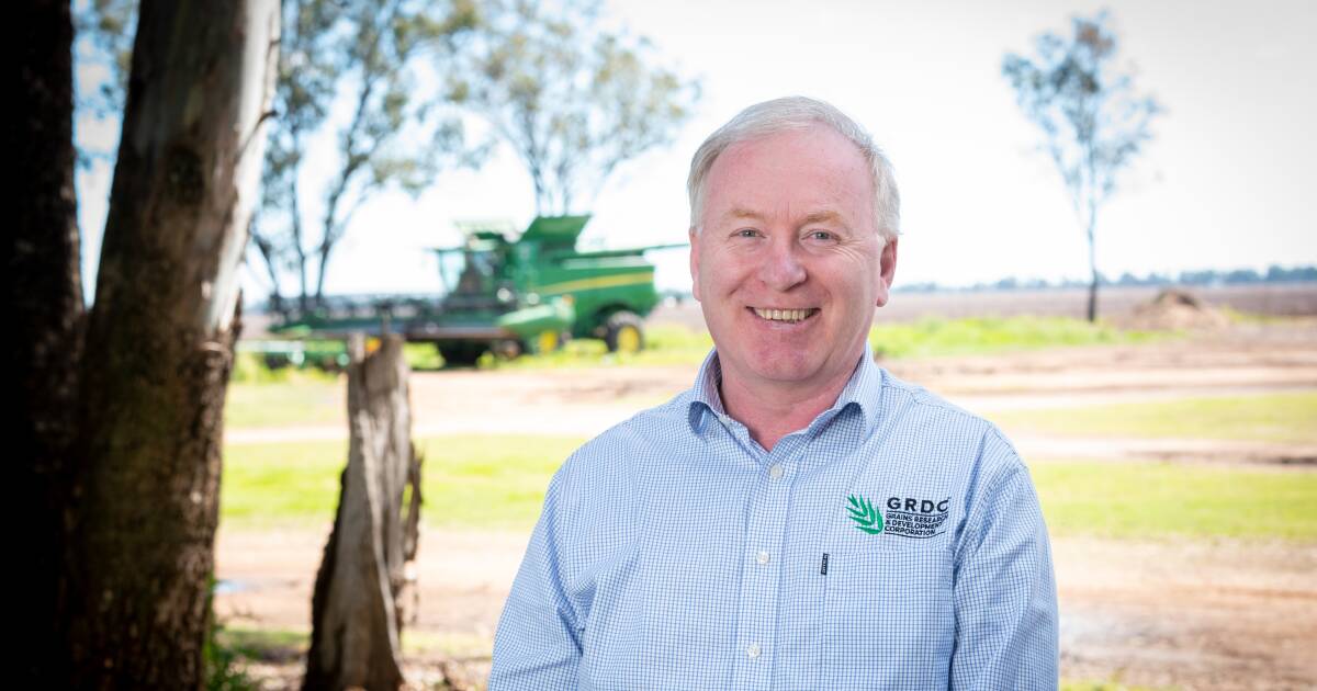 Chefe do GRDC sob holofotes na conferência WAFarmers sobre pesada reserva de impostos