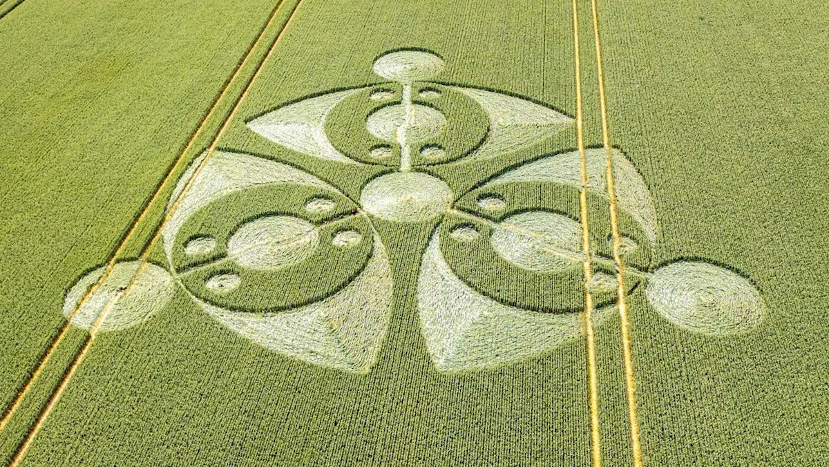Vista de cima de um círculo de colheita em um campo de cultivo verde. Três formatos de olhos com mais círculos dentro deles e três linhas, cada uma com seus próprios círculos passando pelo meio deles