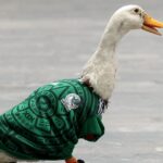 Merlin, o Pato, vestido com a camisa da seleção mexicana em 16 de junho de 2026 na Cidade do México.