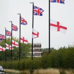O Conselho do Condado de Oxfordshire fez uma oferta para proibir o hasteamento de bandeiras em ou perto de rodovias públicas (na foto estão bandeiras fixadas em postes de luz em Birmingham)