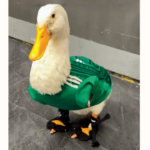 Copa do Mundo FIFA 2026: o pato Merlin se torna a nova sensação da internet