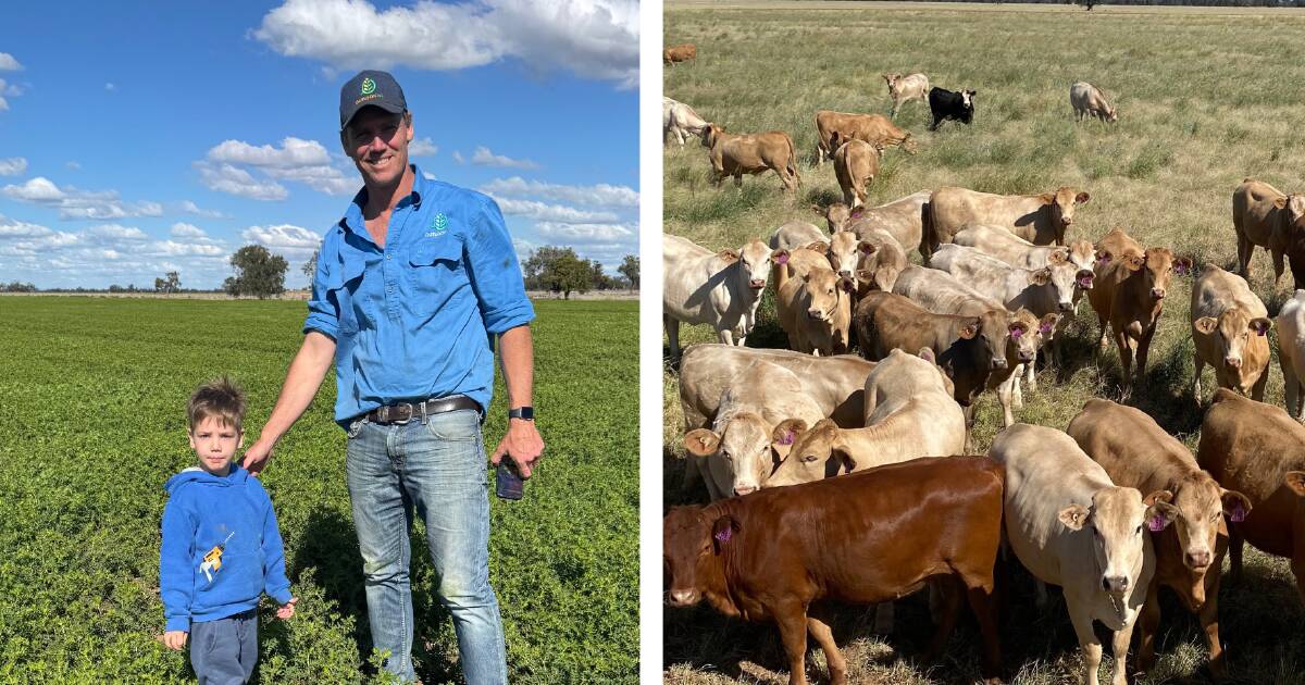 Da agricultura à pecuária e ao carbono: uma transição faseada aumenta os resultados da exploração agrícola