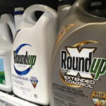 Decisão da Suprema Corte bloqueia milhares de ações judiciais contra fabricante do herbicida Roundup