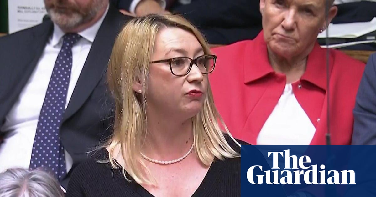 Deputado trabalhista processa empresa de IA de Elon Musk por falsas imagens sexualizadas