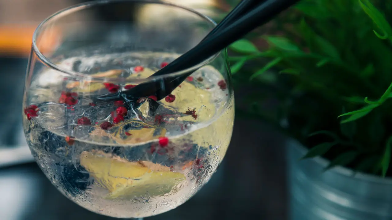 Dia Mundial do Gin 2026: Siga estas receitas fáceis para desfrutar de saborosos coquetéis de gin