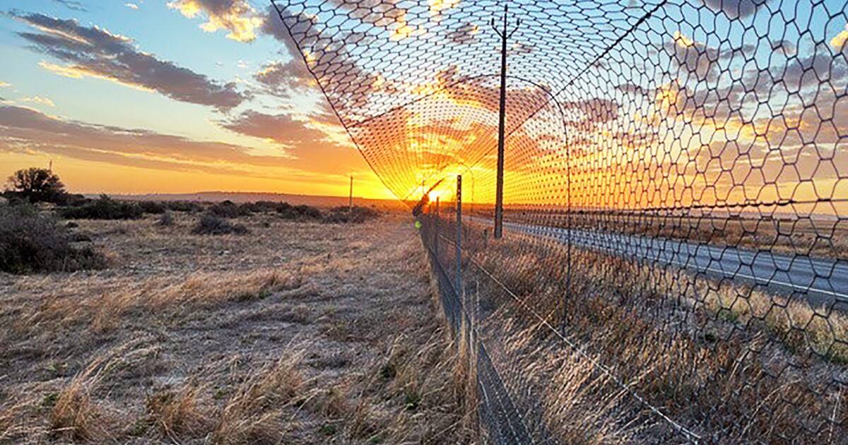 Fazendas australianas podem ser 'aposentadas' para cumprir uma cota governamental de recompra de terras de US$ 250 milhões