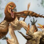 O fóssil do microraptor compreende apenas alguns ossos, mas permanece preservado em 3D. - Hailu você