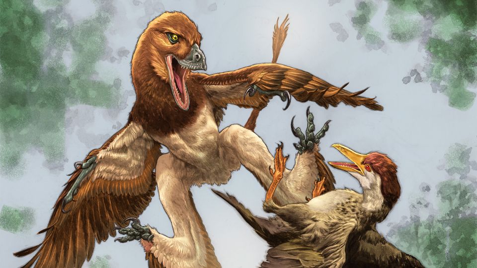 O fóssil do microraptor compreende apenas alguns ossos, mas permanece preservado em 3D. - Hailu você