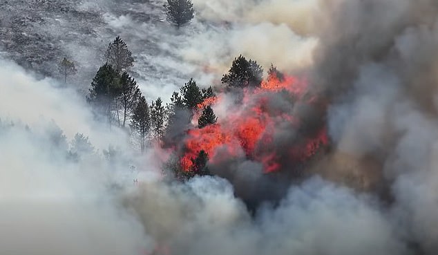 Imagens capturadas pela equipe de resgate de Derby Mountain mostram a escala do incêndio, que já afetou 400 m² de terreno