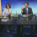 JD Vance, Megyn Kelly