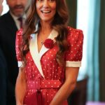 A Princesa Catarina agradeceu pessoalmente àqueles que lideram a batalha do país contra o cancro numa recepção especial esta noite no Palácio de St James.