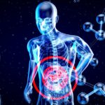 Lei proposta para proibir empresas de IA de vender seus dados de saúde | De um raio X tridimensional com cadeia de DNA e estrutura molecular