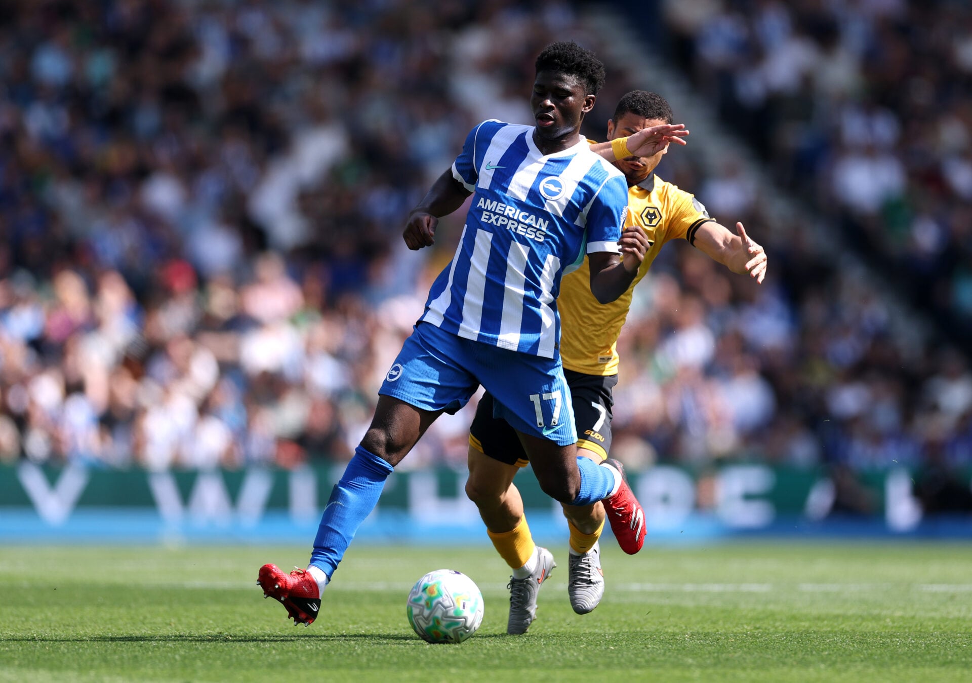 Man Utd está contra o meio-campista errado do Brighton, Suécia x Tunísia mostrou que o companheiro de equipe de Baleba é de elite