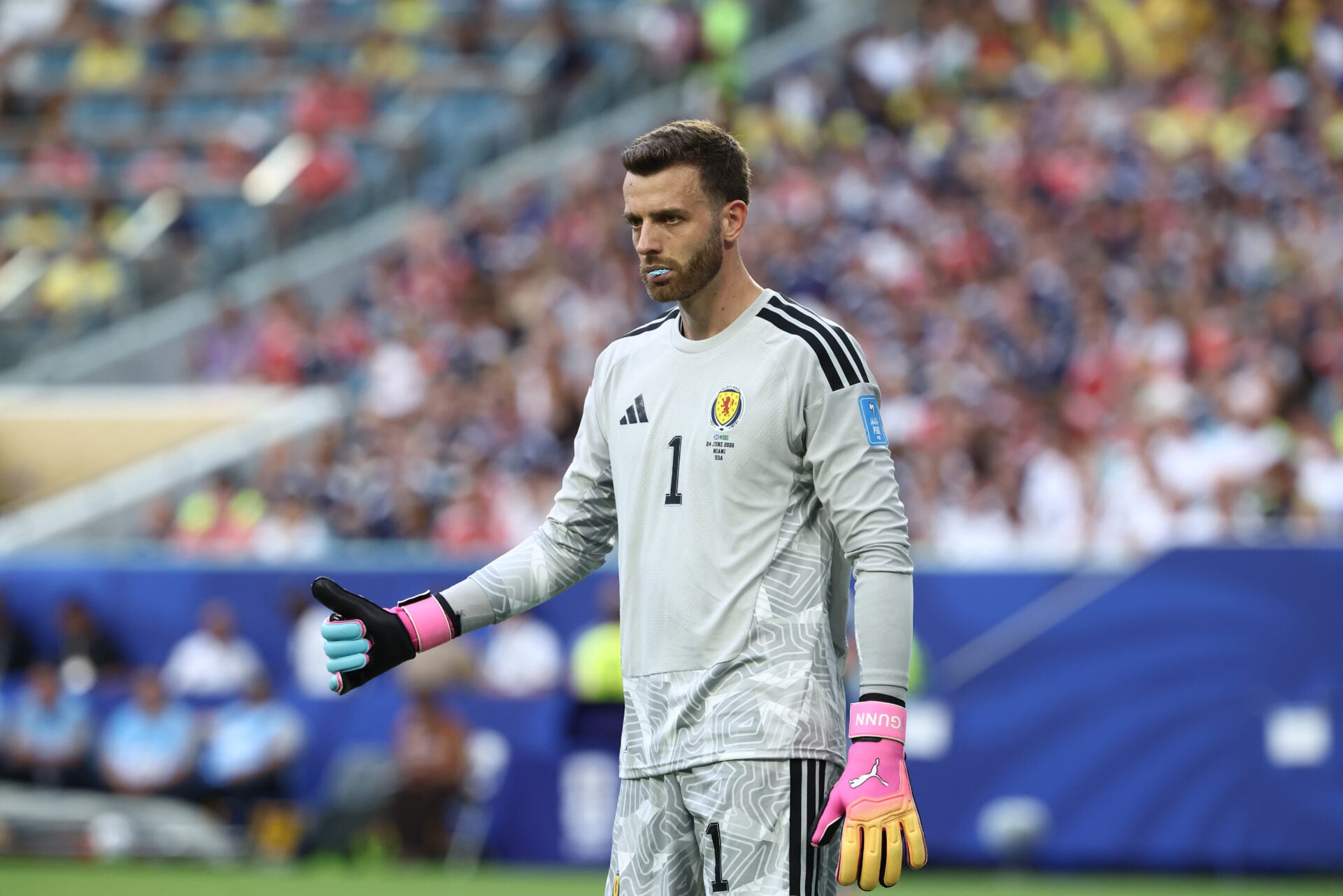 Man Utd está de olho na transferência de Angus Gunn impulsionada pela conexão de Jason Wilcox