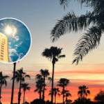 Stock image of palm trees at sunset with an inset image of a thermometer showing hot temperatures.